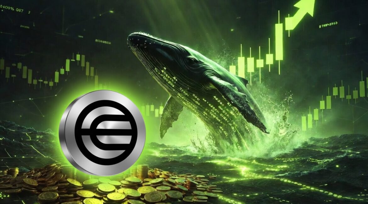 Worldcoin Activity Surges as Whale Transactions Hit 2026 High During Price Rally